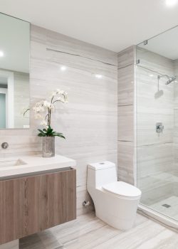 footage-clean-modern-bathroom-with-refreshing-shower-reflecting-mirror-sleek-tiles
